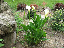 ��� ��������� ����� � ����