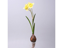 �������� ������, ���. 029-2 105� ����� ���� 85�