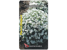 �������� ���������� ����� ���� �����. 300 ��. 20 ���.jpg