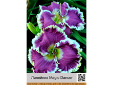 �������� Magic Dancer ���� �� 1 �� 188�.00�.
