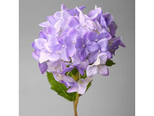 ��������� ���������� ���. 2�-100-1 42�.jpg