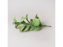 ��������� 43149-4 60.jpg