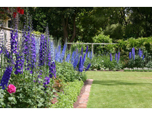 ����������� � ����2.jpg