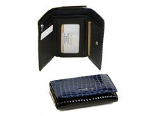 ������� Rose Series-2 ���� dr.Bond WS-6 black-blue 747 ���.jpg