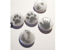 ����� �� 5 ������� 85 ���. �����-�������