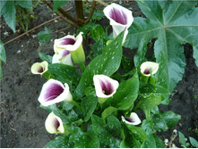 ����� ������� ���. ����4.jpg