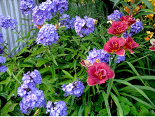 ����� ���� ��� ���. ����.jpg