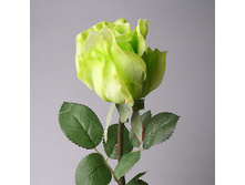 ���� 1080-1 ������� 184�