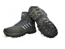 Phoca thumb l 1742 2.jpg