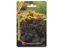 ��������� �������� ������ �������. 5 ��. 44 ���.jpg