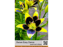 ����� Easy Dance  ��� 10 �� ���� 54�