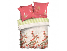 ������������ ����.jpeg