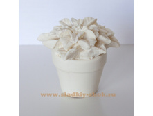 ������� ���������� "������ � �������� ����������", ���. 14-601�