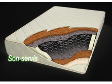 ���� �����