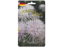 ����� ��������� ����� ������� ������ ����������. 30 ��. 22 ���.jpg