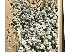 ������ ����� ��������. 30 �. 40 ���.jpg