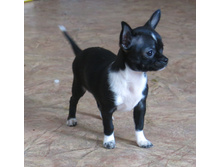 ����-�� 011.JPG