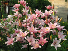 ����� ����� ���. ����2.jpg