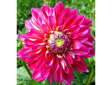 �������� ������� 84�.jpg