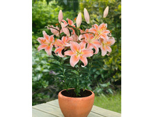 ����� ������ ���� ���. ����2.jpg