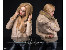 ������ - 7958, 1949,7�