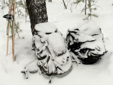 2016-01-16 11 cr.jpg