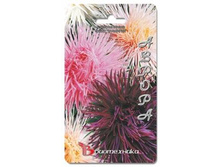 ���������� ����� ��������� ������. 100 ��. 16 ���.jpg