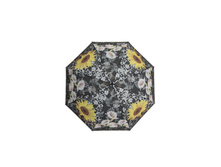 ���� ������� ������� Susino 43006AO-1 638 ���.jpg