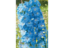 ���������� ������ 226,8�.jpg