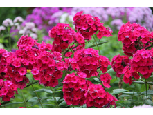 ����� ����� ���. ����2.jpg