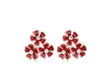 360� ������ 114354