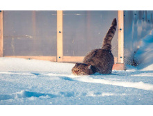 17604506 2196972705.jpg