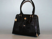 9722-001cher DAF.jpg