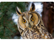 ������� ����.jpg