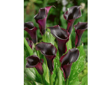 ����� ������������ ��. ����.png