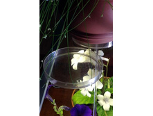 ������ ��� �������. 15 ���.jpg