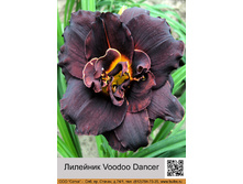 �������� Voodoo Dancer ���� �� 1 �� 335�.00�.