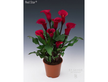 ����� ������� ��������� ���. ����2.jpg