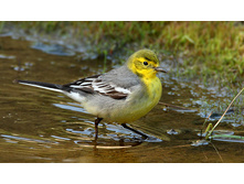 ������������ ����������.jpg