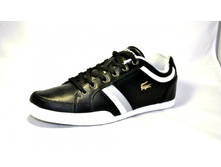 Phoca thumb l 5570 20.jpg