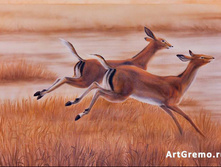 ������� ���� � ������ ���������