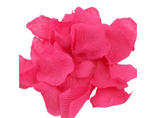 �������� ��� ������, 20 ���� � �������� 25�.jpg