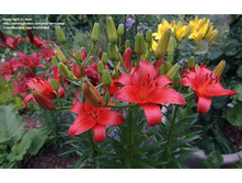 ����� ���� �������� ���. ����.jpg