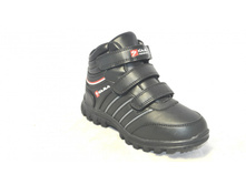 Phoca thumb l 1357 97.jpg