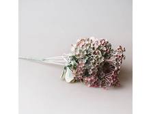 ������������ ����, �������, ���. 65391 177� ����� ���� 105�