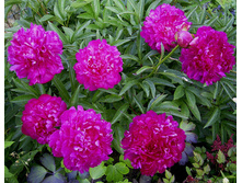 ���� ������ ����� ��. ����2.jpg