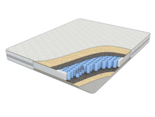 ������ ���������