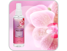 LAURA L. BIAGIOTTI Magic Mist #48 preview.png