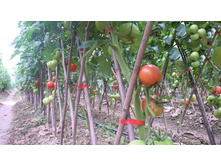 ����� ��� �������� �������� ���. ����3.jpg