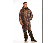 ���� �������������.png